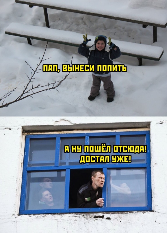 Смешные картинки