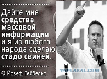 Ну, теперь заживём