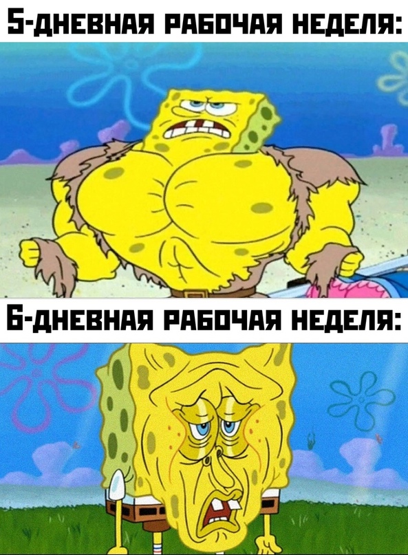 Весёлый полтишок 19.02