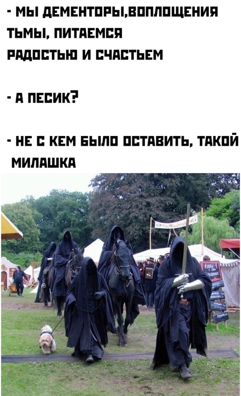 Весёлый полтишок 15.08