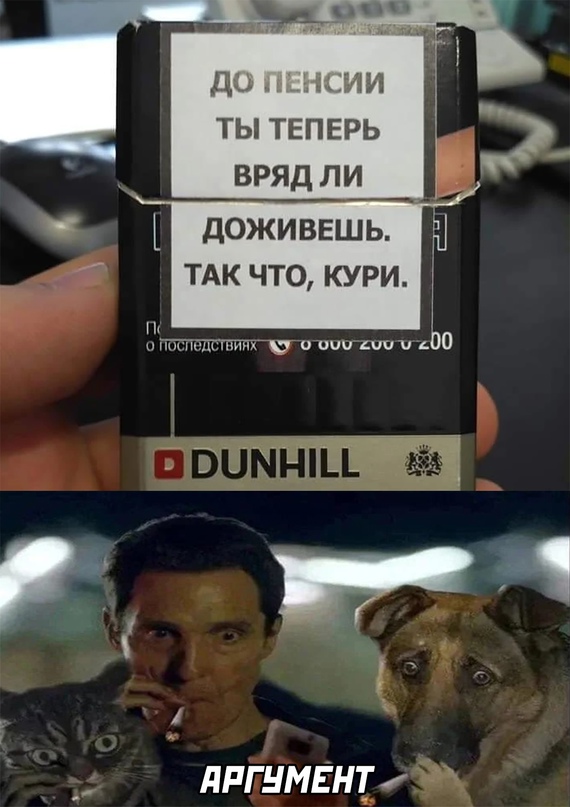 Весёлый полтишок 24.12