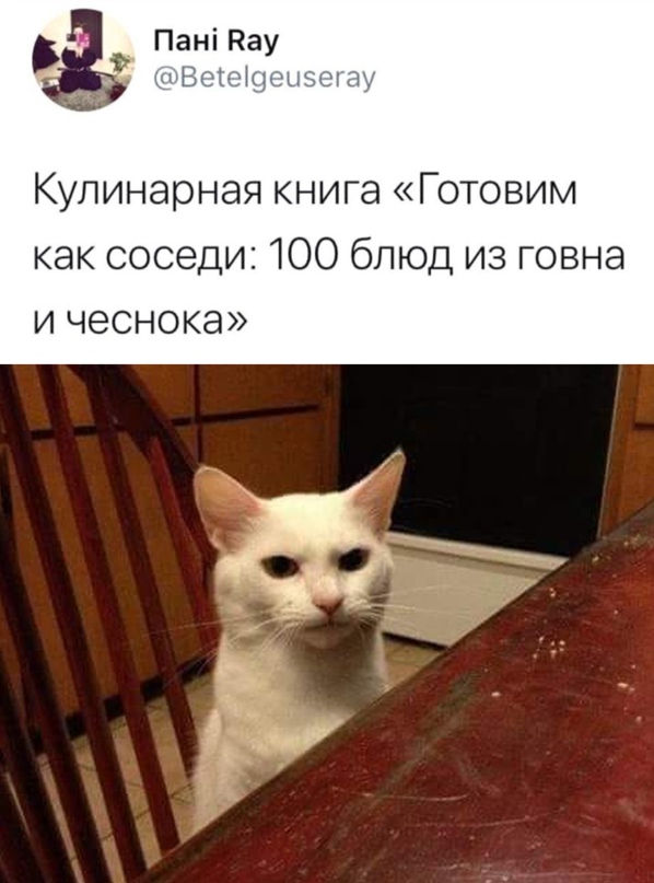 Весёлый полтишок 20.04.22