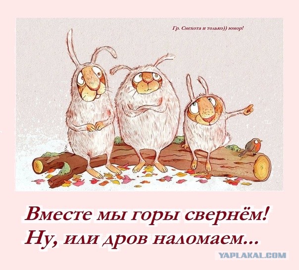 Не делает куни муж? Сделает сосед