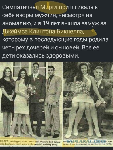 Картинки разные 23.11.22