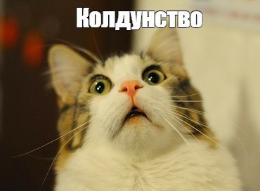 Не ну ты это видел?