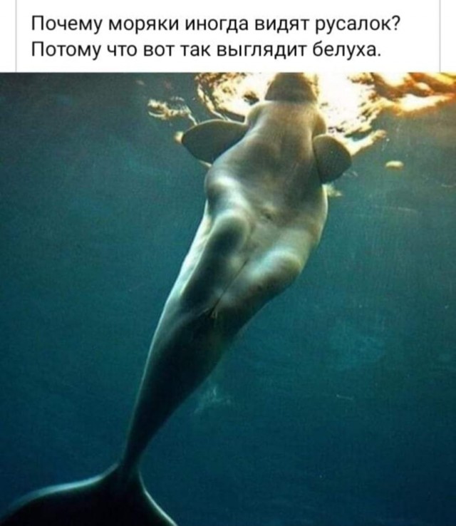 Немного картинок для настроения - 127