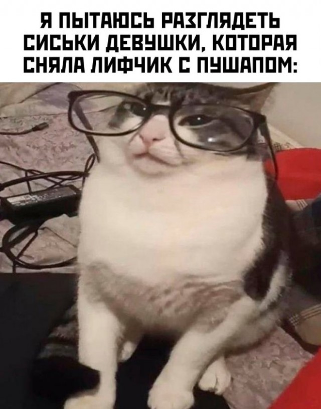 Картинки и мемы, всяко разно - 175