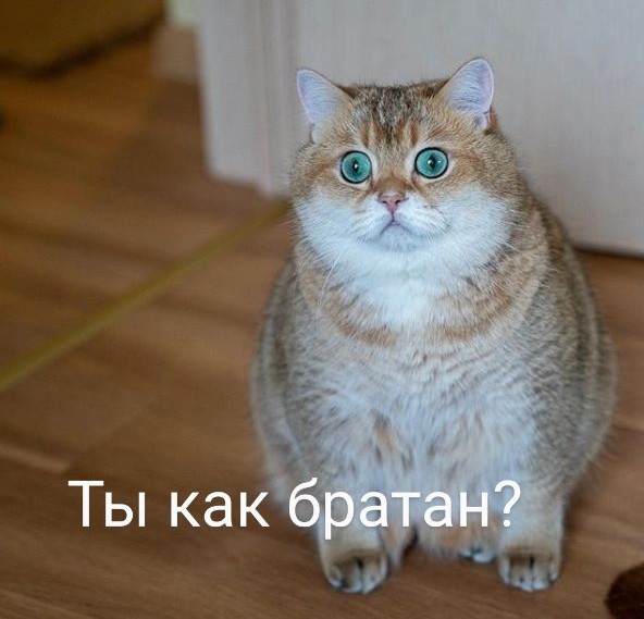 Бег с препятствиями