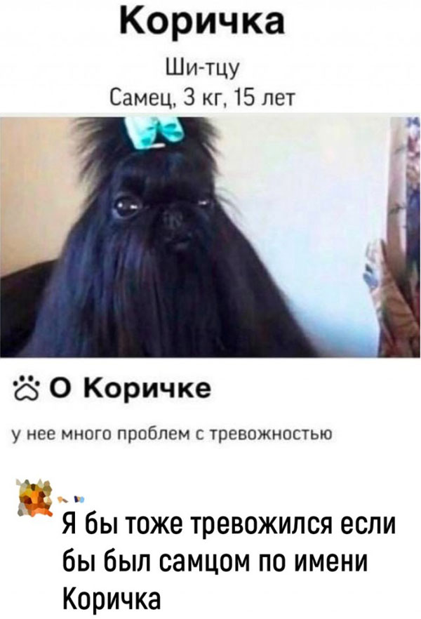 Чуток картинок