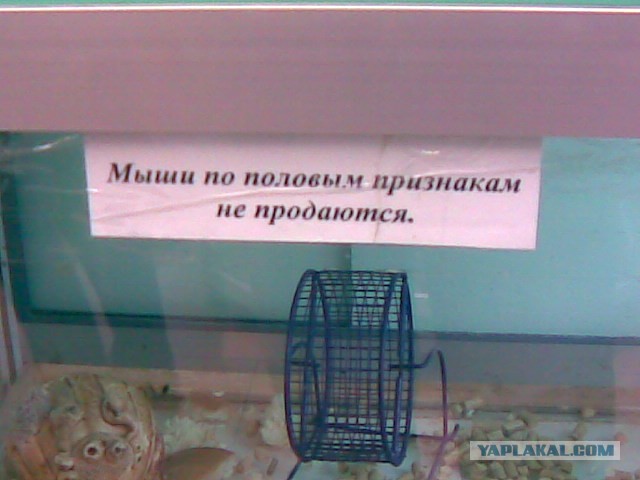 Почистил телефон