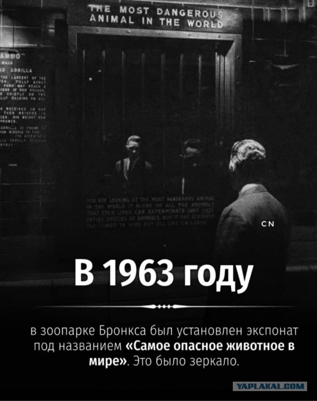 ТРРРидцать тРРРи от 3 апреля