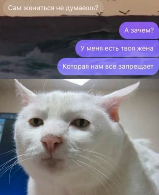 Так себе картинки 11.10.24