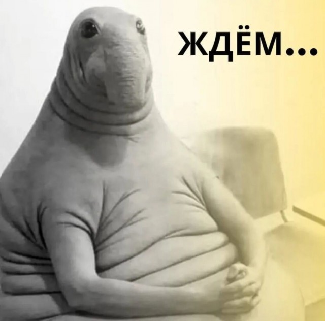 Нуштош 25.12.2024