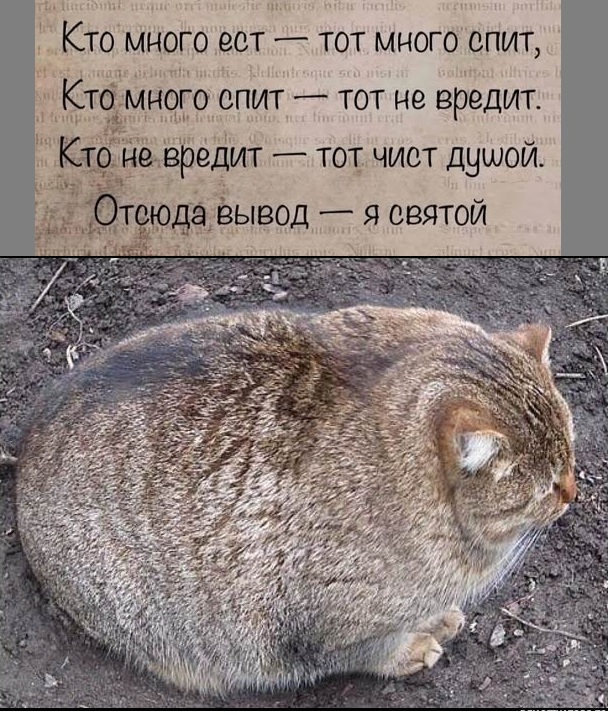 Картинки разные с надписями и без