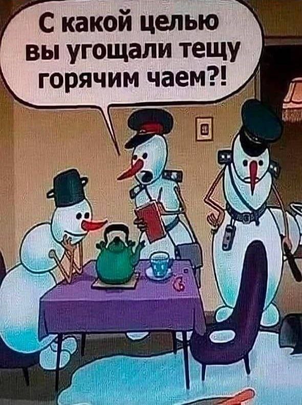 Юмор для тех, кто уже повзрослел и понял, что «личная жизнь» — это кот и плед