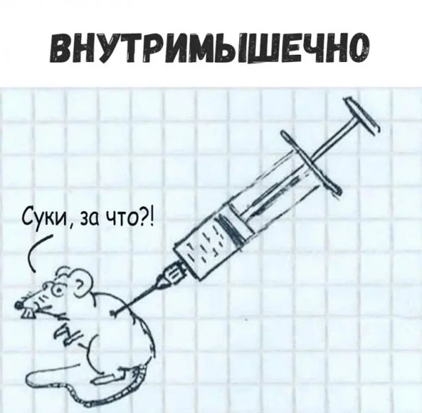 Юмор для тех, кто уже повзрослел и понял, что «отпуск» — это когда работаешь, но в другой стране