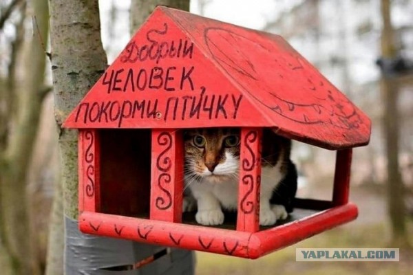«Ирония судьбы» по-уральски