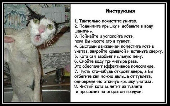 Имя ему — «Чистенькая Ярость»
