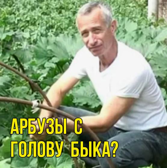 Незнаю, что там происходит, но по слухам...