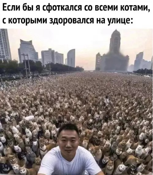 Котямбосы