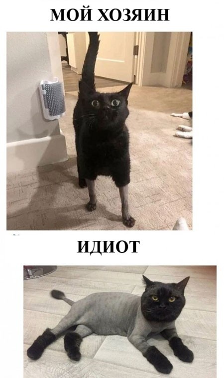 Среда - это же почти пятница, да?