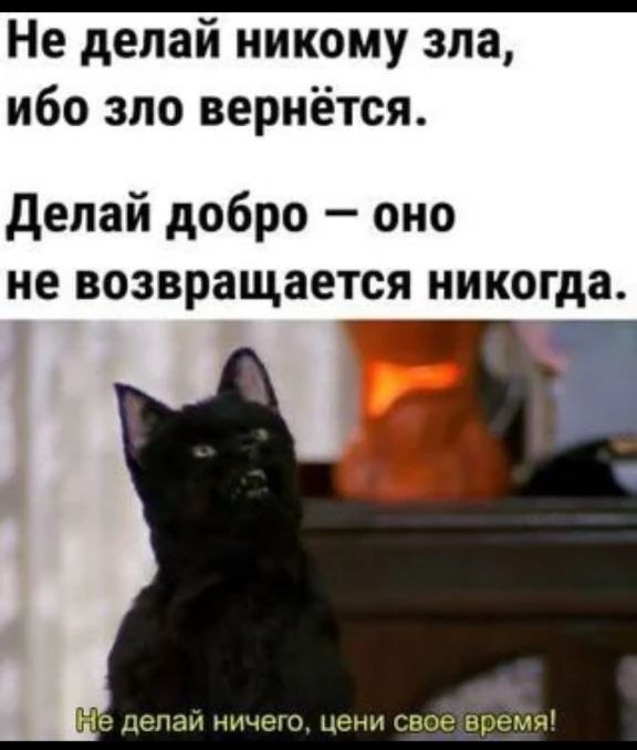 К котовторнику: подборка картинок-баянов с котиками и про котиков. Выпуск 39.