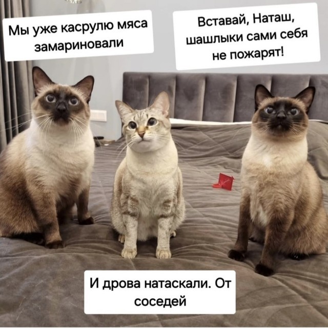 Картиночки, баянчики 27 июня