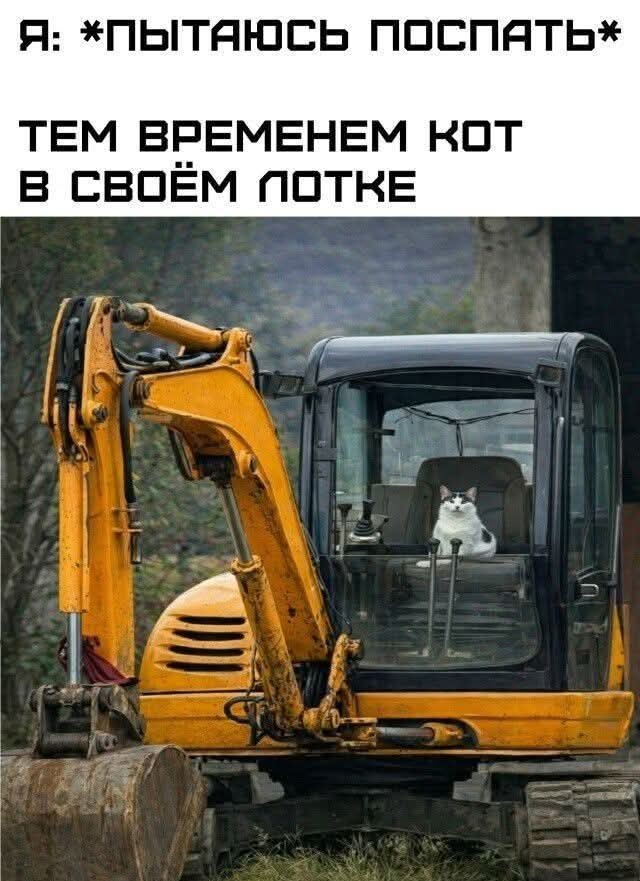 Картинки для деградации 253 (разной степени свежести)