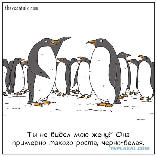 Капля юмора 3