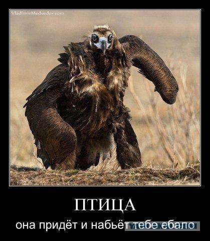 Опять демотиваторы!
