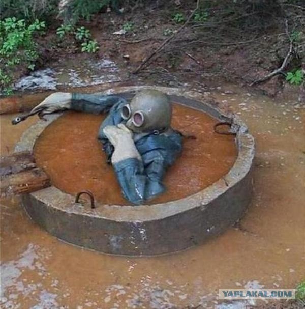 Новый мейнстрим у глупых дев