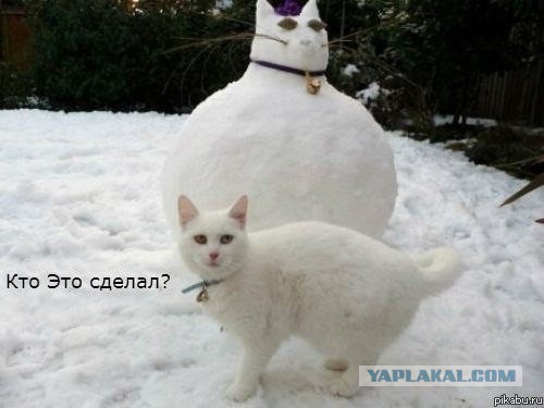 Кто бухает?