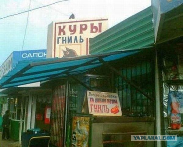 Приколы и маразмы 2
