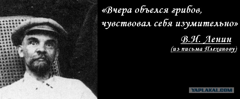 Ленин об интернете картинка