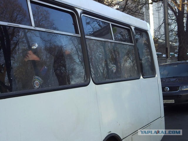 "Георгиевские " ленточки против флагов УПА