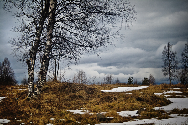 Скоро зима, товарищи !