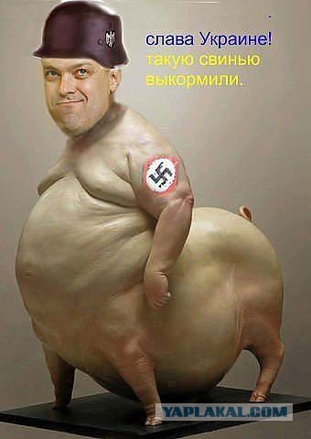 Карикатурки на тему украины...
