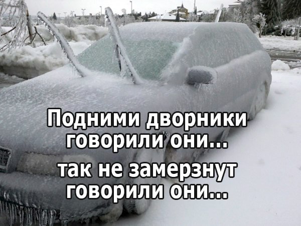 Картинки
