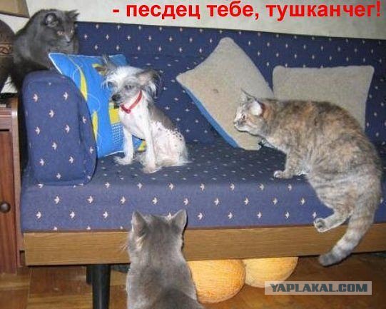 Поднимаем настроение