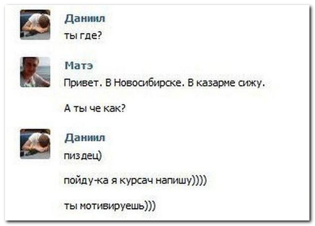 Чутка картинок