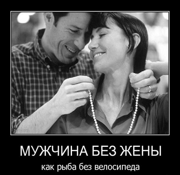 Подборка весёлых картинок