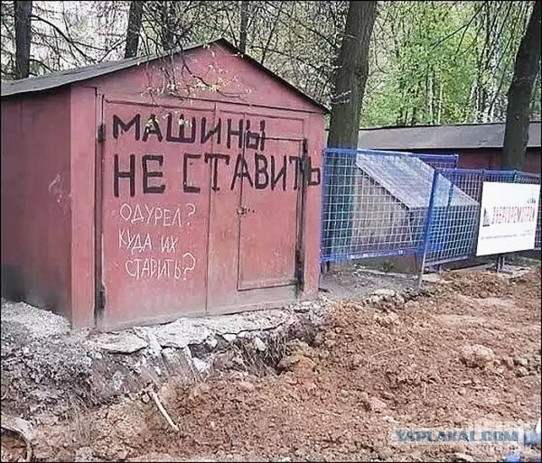 Немного позитива на пятницу