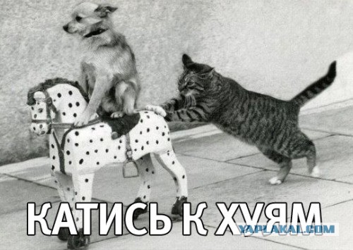 Неудобные факты крушения боинга на Донбассе 17/07