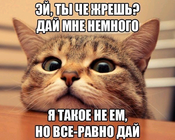 Весёлые картинки