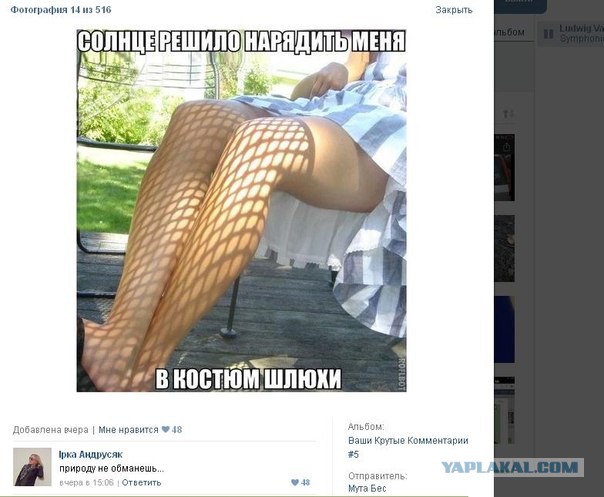 Смешные комментарии из социальных сетей