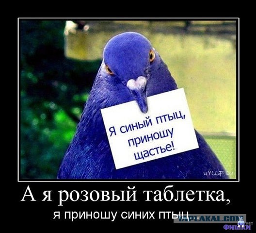 Немного картинок в пятницо.