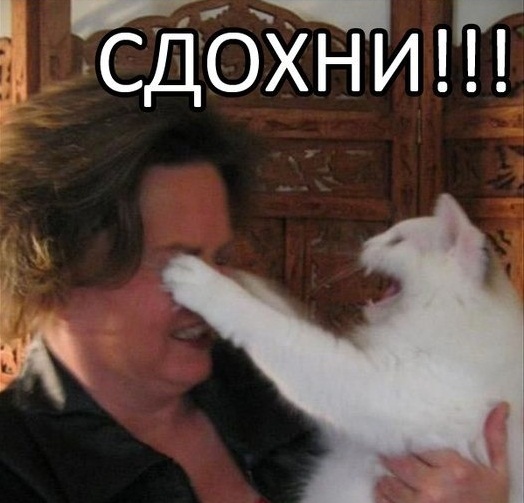 Так..картинки на понедельничек))