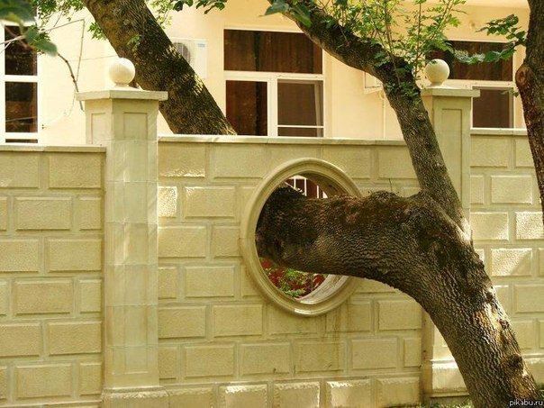 Картинки разные