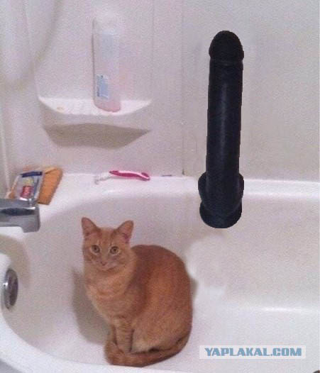 Что-то не так