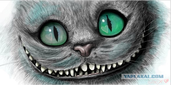 Девушка, у которой не закрывается рот